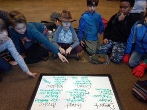 IMG_20181204_155608721