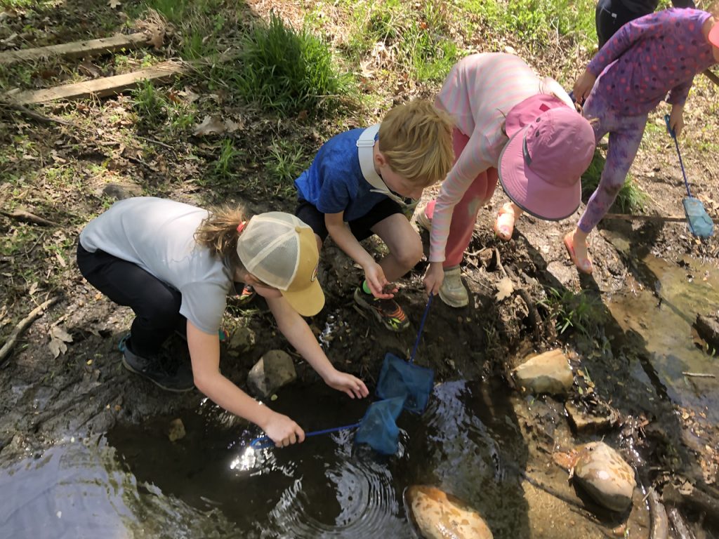 BE frog catching