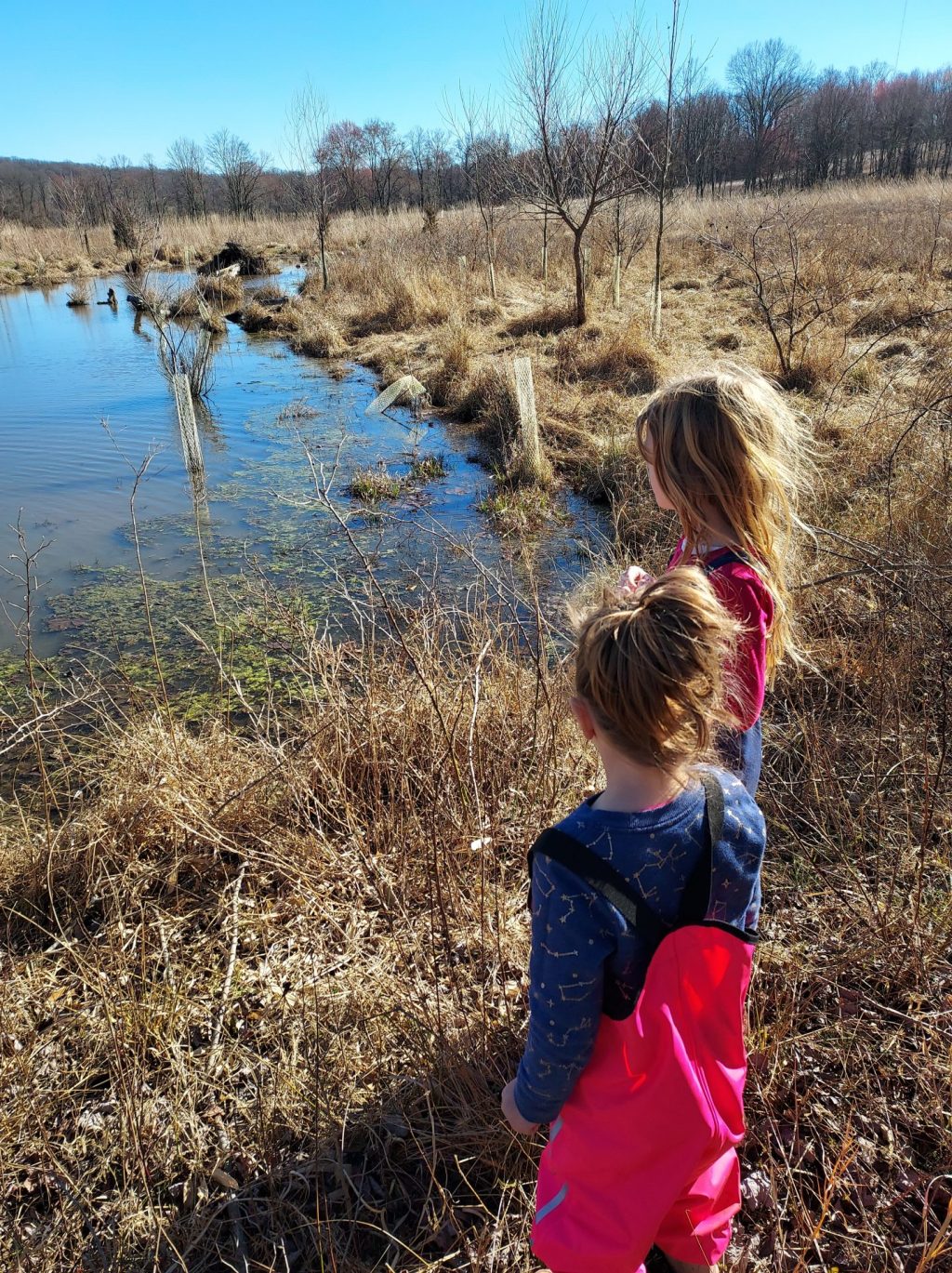 early spring wetland younger kids