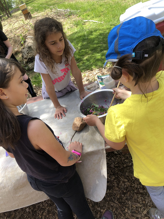 group making sun tea