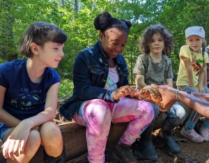 group shot touching box turtle SBH fav