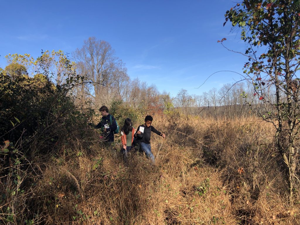 older kids bushwacking
