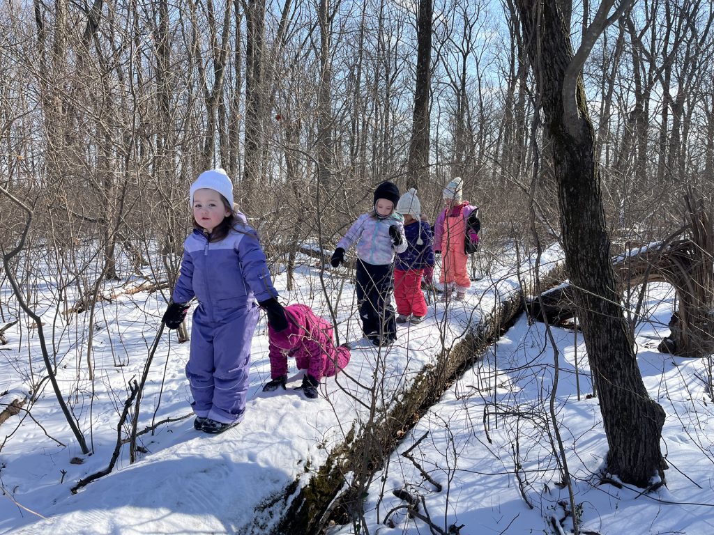 snow log balancing snow log balancing